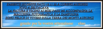 Giuseppe Parente
